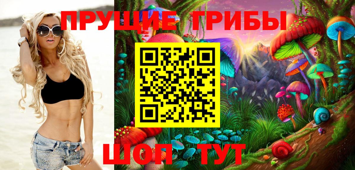 Галлюциногенные грибы MAGIC MUSHROOMS  Вход с VPN  Альметьевск 