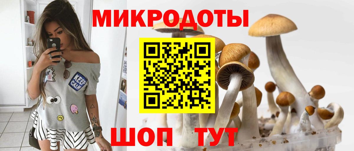 Галлюциногенные грибы Psilocybe Альметьевск